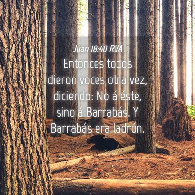 Picture 04 - Juan 18:40 RVA - Entonces todos dieron voces otra vez, diciendo: - Bible Verse Picture