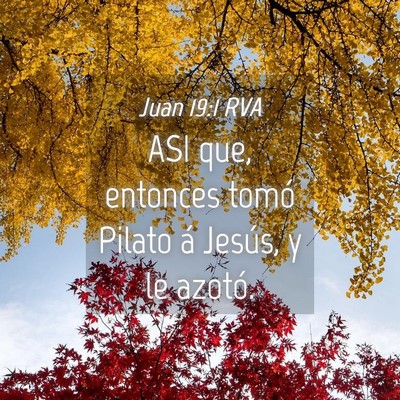 Picture 04 - Juan 19:1 RVA - ASI que, entonces tomó Pilato á Jesús, y le - Bible Verse Picture
