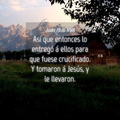 Picture 04 - Juan 19:16 RVA - Así que entonces lo entregó á ellos para que - Bible Verse Picture