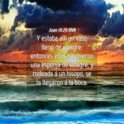 Picture 04 - Juan 19:29 RVA - Y estaba allí un vaso lleno de vinagre: entonces - Bible Verse Picture
