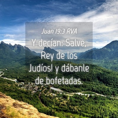 Picture 04 - Juan 19:3 RVA - Y decían: ­Salve, Rey de los Judíos! y - Bible Verse Picture