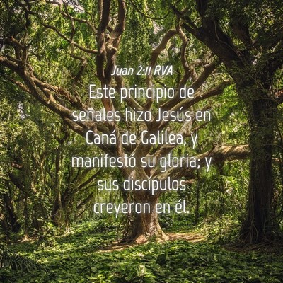 Picture 04 - Juan 2:11 RVA - Este principio de señales hizo Jesús en Caná - Bible Verse Picture