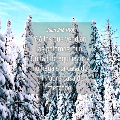 Picture 04 - Juan 2:16 RVA - Y á los que vendían las palomas, dijo: Quitad - Bible Verse Picture