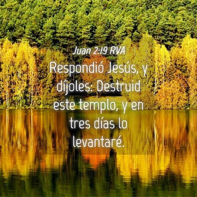 Picture 04 - Juan 2:19 RVA - Respondió Jesús, y díjoles: Destruid este - Bible Verse Picture