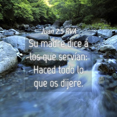 Picture 04 - Juan 2:5 RVA - Su madre dice á los que servían: Haced todo lo - Bible Verse Picture