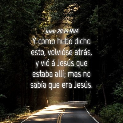 Picture 04 - Juan 20:14 RVA - Y como hubo dicho esto, volvióse atrás, y vió - Bible Verse Picture