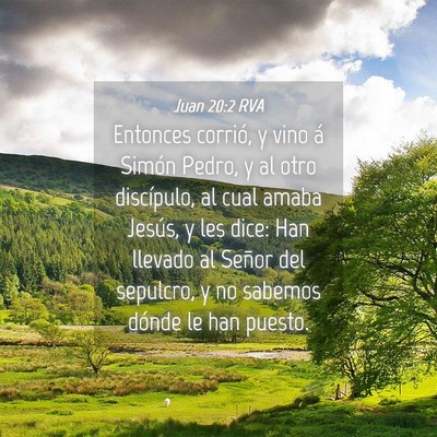 Picture 04 - Juan 20:2 RVA - Entonces corrió, y vino á Simón Pedro, y al - Bible Verse Picture