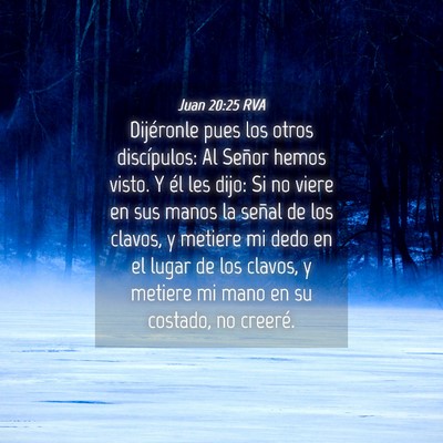 Picture 04 - Juan 20:25 RVA - Dijéronle pues los otros discípulos: Al Señor - Bible Verse Picture