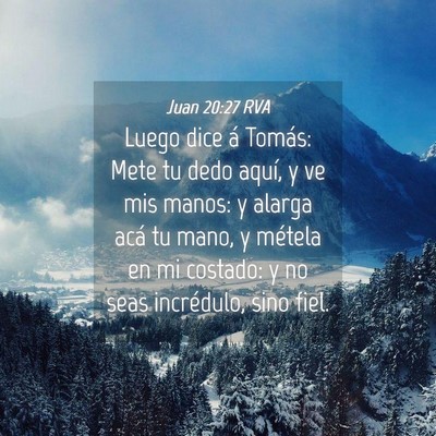Picture 04 - Juan 20:27 RVA - Luego dice á Tomás: Mete tu dedo aquí, y ve - Bible Verse Picture