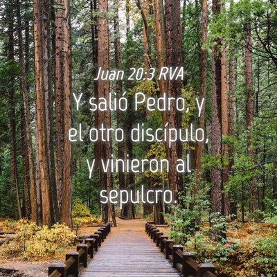Picture 04 - Juan 20:3 RVA - Y salió Pedro, y el otro discípulo, y vinieron - Bible Verse Picture