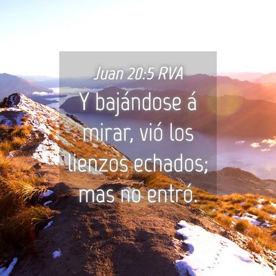 Picture 04 - Juan 20:5 RVA - Y bajándose á mirar, vió los lienzos echados; - Bible Verse Picture