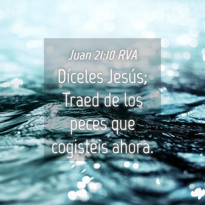 Picture 04 - Juan 21:10 RVA - Díceles Jesús; Traed de los peces que cogisteis - Bible Verse Picture