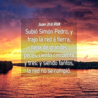 Picture 04 - Juan 21:11 RVA - Subió Simón Pedro, y trajo la red á tierra, - Bible Verse Picture