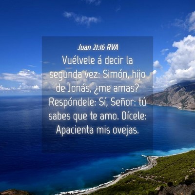 Picture 04 - Juan 21:16 RVA - Vuélvele á decir la segunda vez: Simón, hijo - Bible Verse Picture