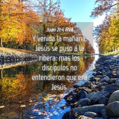 Picture 04 - Juan 21:4 RVA - Y venida la mañana, Jesús se puso á la ribera: - Bible Verse Picture