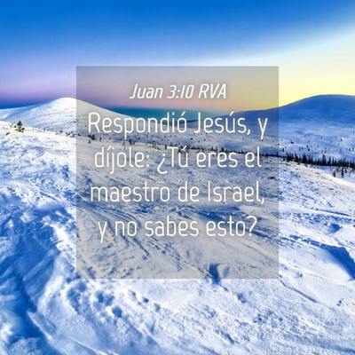 Picture 04 - Juan 3:10 RVA - Respondió Jesús, y díjole: ¿Tú eres el - Bible Verse Picture