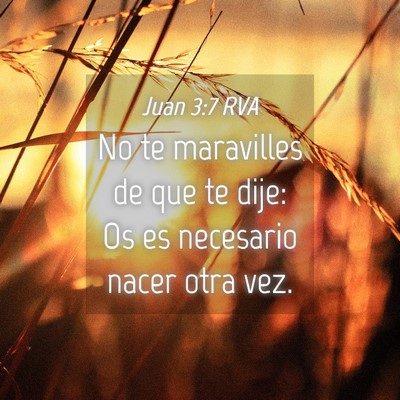 Picture 04 - Juan 3:7 RVA - No te maravilles de que te dije: Os es necesario - Bible Verse Picture