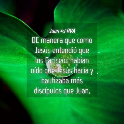 Picture 04 - Juan 4:1 RVA - DE manera que como Jesús entendió que los - Bible Verse Picture