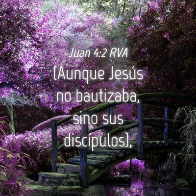 Picture 04 - Juan 4:2 RVA - (Aunque Jesús no bautizaba, sino sus - Bible Verse Picture