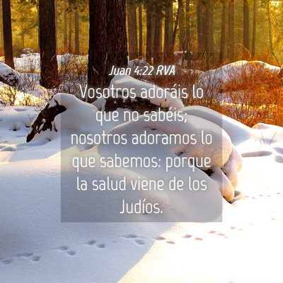 Picture 04 - Juan 4:22 RVA - Vosotros adoráis lo que no sabéis; nosotros - Bible Verse Picture