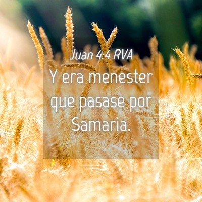 Picture 04 - Juan 4:4 RVA - Y era menester que pasase por - Bible Verse Picture