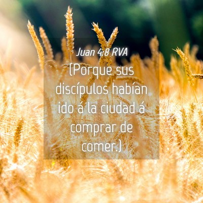 Picture 04 - Juan 4:8 RVA - (Porque sus discípulos habían ido á la ciudad - Bible Verse Picture