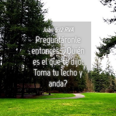 Picture 04 - Juan 5:12 RVA - Preguntáronle entonces: ¿Quién es el que te - Bible Verse Picture