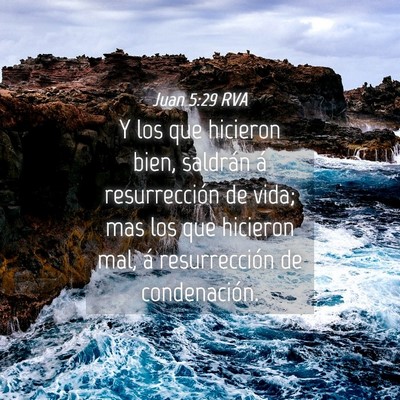 Picture 04 - Juan 5:29 RVA - Y los que hicieron bien, saldrán á - Bible Verse Picture