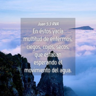 Picture 04 - Juan 5:3 RVA - En éstos yacía multitud de enfermos, ciegos, - Bible Verse Picture