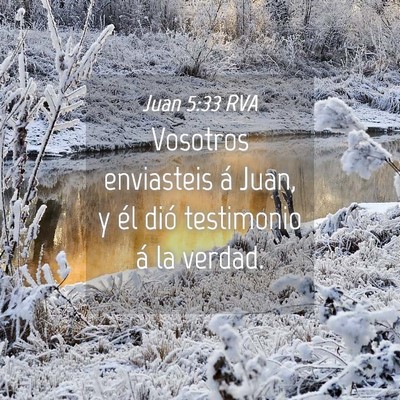 Picture 04 - Juan 5:33 RVA - Vosotros enviasteis á Juan, y él dió - Bible Verse Picture
