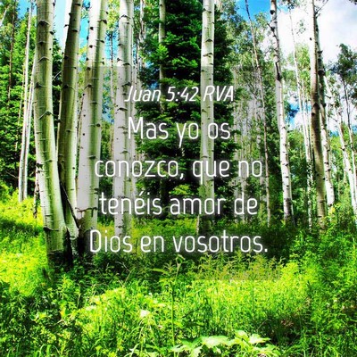 Picture 04 - Juan 5:42 RVA - Mas yo os conozco, que no tenéis amor de Dios en - Bible Verse Picture