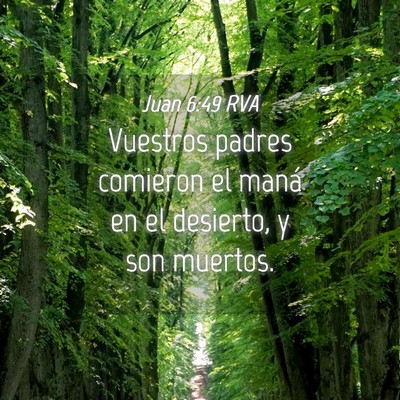 Picture 04 - Juan 6:49 RVA - Vuestros padres comieron el maná en el desierto, - Bible Verse Picture