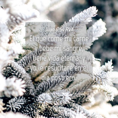 Picture 04 - Juan 6:54 RVA - El que come mi carne y bebe mi sangre, tiene vida - Bible Verse Picture