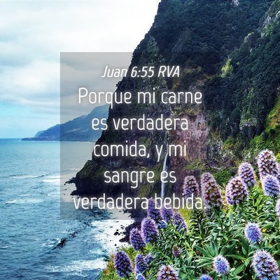 Picture 04 - Juan 6:55 RVA - Porque mi carne es verdadera comida, y mi sangre - Bible Verse Picture
