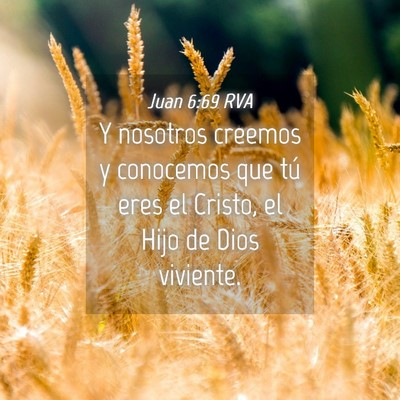 Picture 04 - Juan 6:69 RVA - Y nosotros creemos y conocemos que tú eres el - Bible Verse Picture