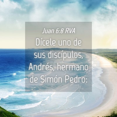 Picture 04 - Juan 6:8 RVA - Dícele uno de sus discípulos, Andrés, hermano - Bible Verse Picture
