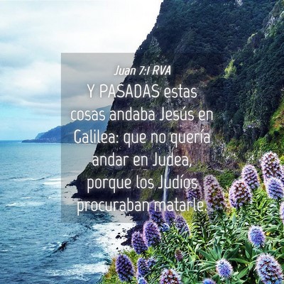 Picture 04 - Juan 7:1 RVA - Y PASADAS estas cosas andaba Jesús en Galilea: - Bible Verse Picture