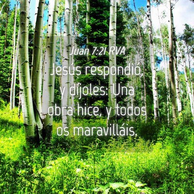 Picture 04 - Juan 7:21 RVA - Jesús respondió, y díjoles: Una obra hice, y - Bible Verse Picture
