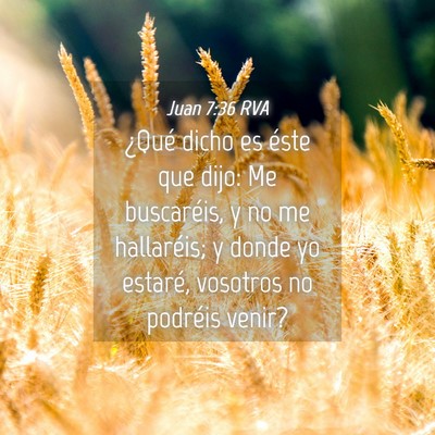 Picture 04 - Juan 7:36 RVA - ¿Qué dicho es éste que dijo: Me buscaréis, y - Bible Verse Picture
