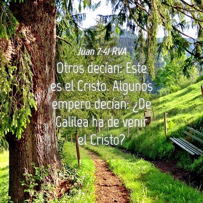 Picture 04 - Juan 7:41 RVA - Otros decían: Este es el Cristo. Algunos empero - Bible Verse Picture