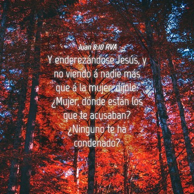 Picture 04 - Juan 8:10 RVA - Y enderezándose Jesús, y no viendo á nadie - Bible Verse Picture
