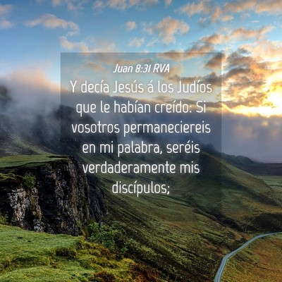 Picture 04 - Juan 8:31 RVA - Y decía Jesús á los Judíos que le habían - Bible Verse Picture