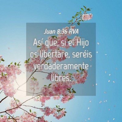 Picture 04 - Juan 8:36 RVA - Así que, si el Hijo os libertare, seréis - Bible Verse Picture