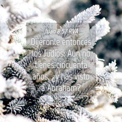 Picture 04 - Juan 8:57 RVA - Dijéronle entonces los Judíos: Aun no tienes - Bible Verse Picture