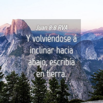 Picture 04 - Juan 8:8 RVA - Y volviéndose á inclinar hacia abajo, escribía - Bible Verse Picture
