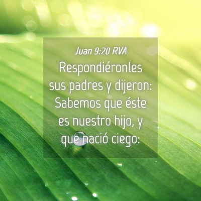 Picture 04 - Juan 9:20 RVA - Respondiéronles sus padres y dijeron: Sabemos - Bible Verse Picture