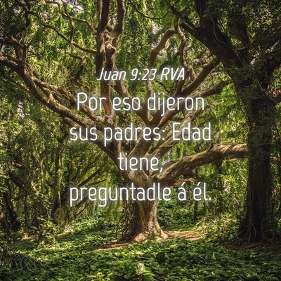 Picture 04 - Juan 9:23 RVA - Por eso dijeron sus padres: Edad tiene, - Bible Verse Picture