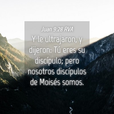 Picture 04 - Juan 9:28 RVA - Y le ultrajaron, y dijeron: Tú eres su - Bible Verse Picture