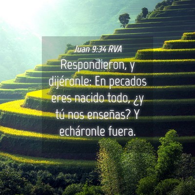 Picture 04 - Juan 9:34 RVA - Respondieron, y dijéronle: En pecados eres - Bible Verse Picture