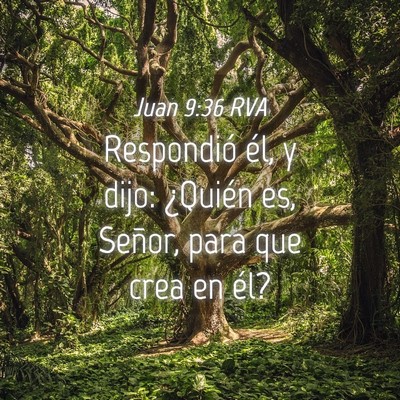 Picture 04 - Juan 9:36 RVA - Respondió él, y dijo: ¿Quién es, Señor, para - Bible Verse Picture